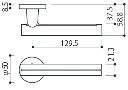 WBC_size.webp