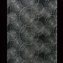 Ripple 渦巻.webp