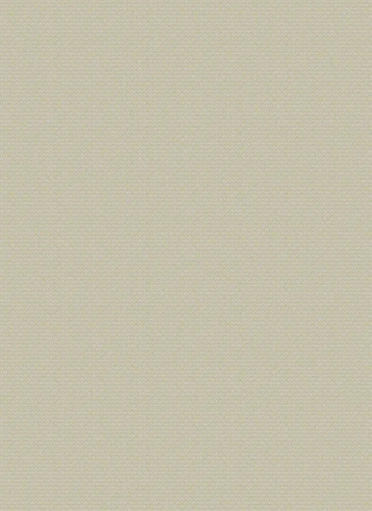 KYOGO_COIKI035_2.webp