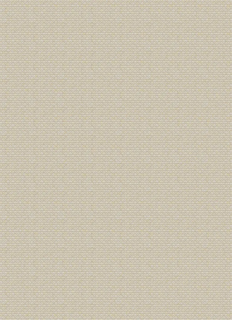 KYOGO_COIKI035_2 (1).webp