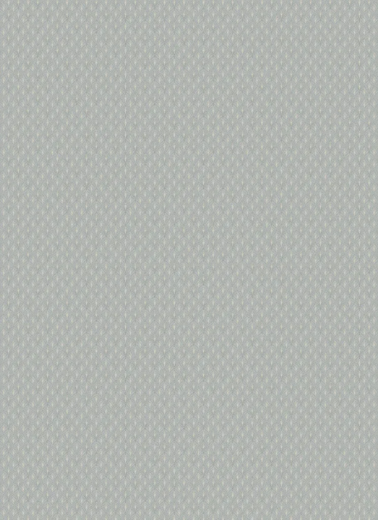 KYOGO_COIKI034_2 (1).webp