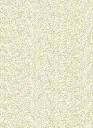 KYOGO_COIKI033_2.webp