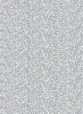 KYOGO_COIKI033_2 (2).webp