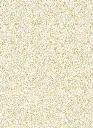 KYOGO_COIKI031_2.webp