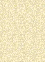 KYOGO_COIKI028_2.webp