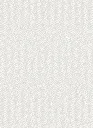 KYOGO_COIKI025_2 (1).webp