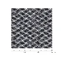 KYOGO_COIKI025_3 (2).webp