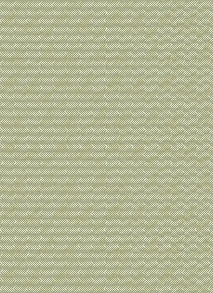 KYOGO_COIKI016_2 (6).webp