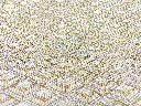 KYOGO_COIKI001_3.webp
