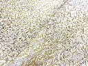 KYOGO_COIKI001_4.webp
