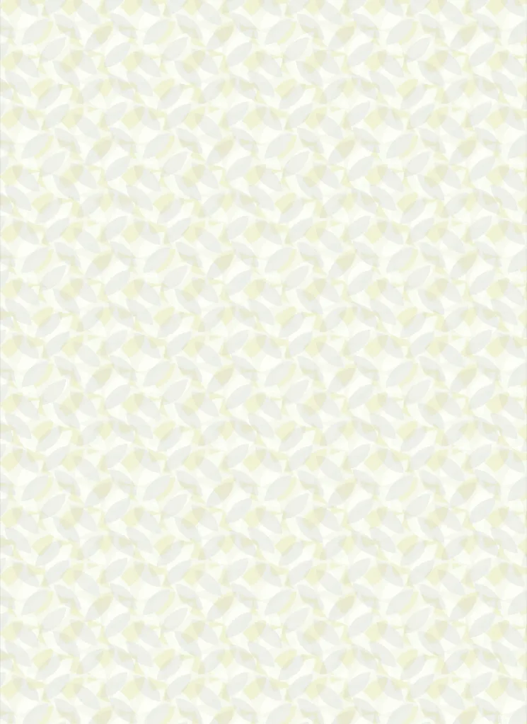 KYOGO_COIKI005_6.webp