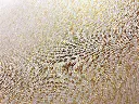 KYOGO_YUI028_2.webp