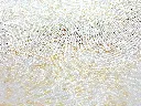 KYOGO_YUI027_2 (1).webp