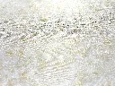 KYOGO_YUI026_2 (1).webp