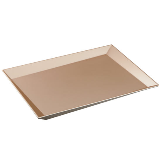AM013_Tray