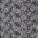 Ripple 渦巻