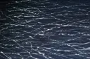 YUI012 (dark blue)